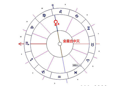 金星合相中天