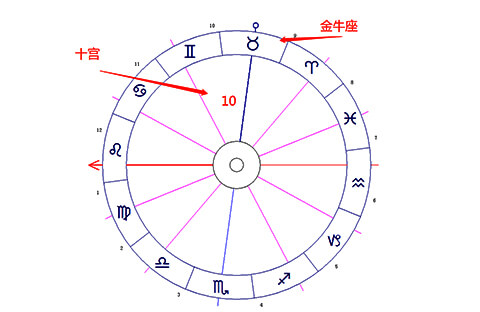 金牛座落在第十宫