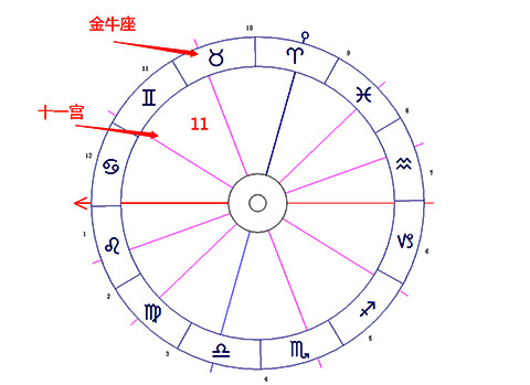 金牛座落在第十一宫-十大行星落11宫解读