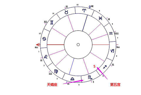 天蝎座落在第五宫